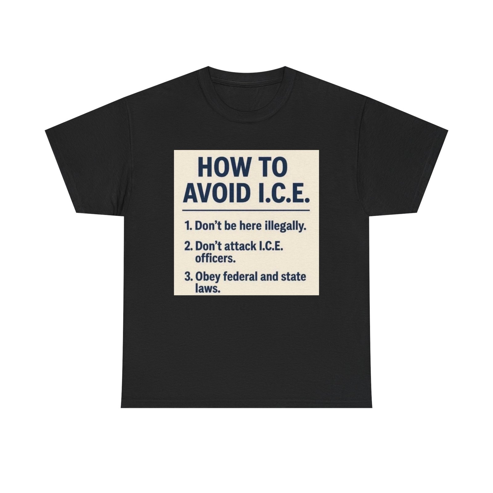 Political Statement T-Shirt — “How to Avoid I.C.E.” List Tee
