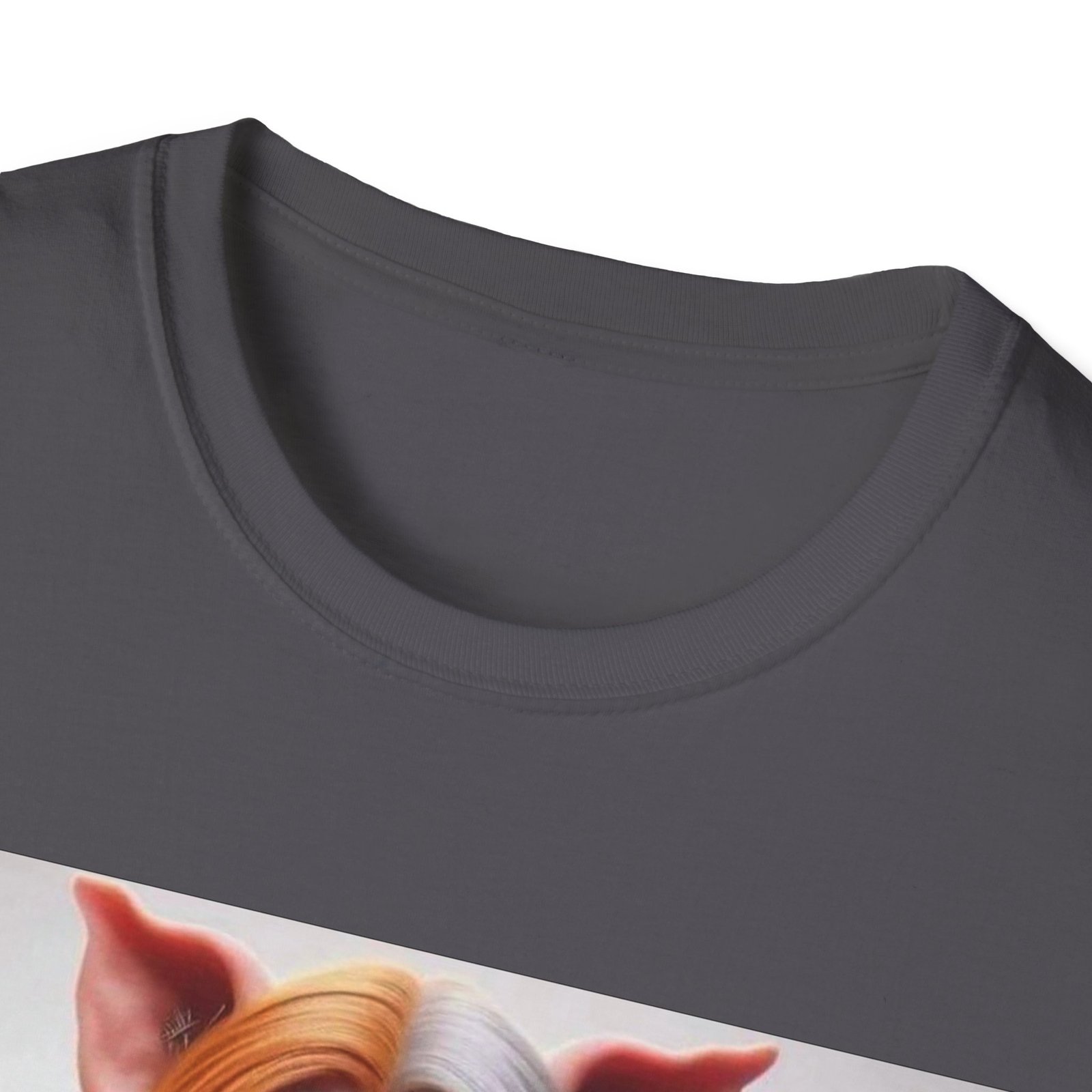 Political Satire T-Shirt — "Liberals" Rainbow Pig Design - Image 15