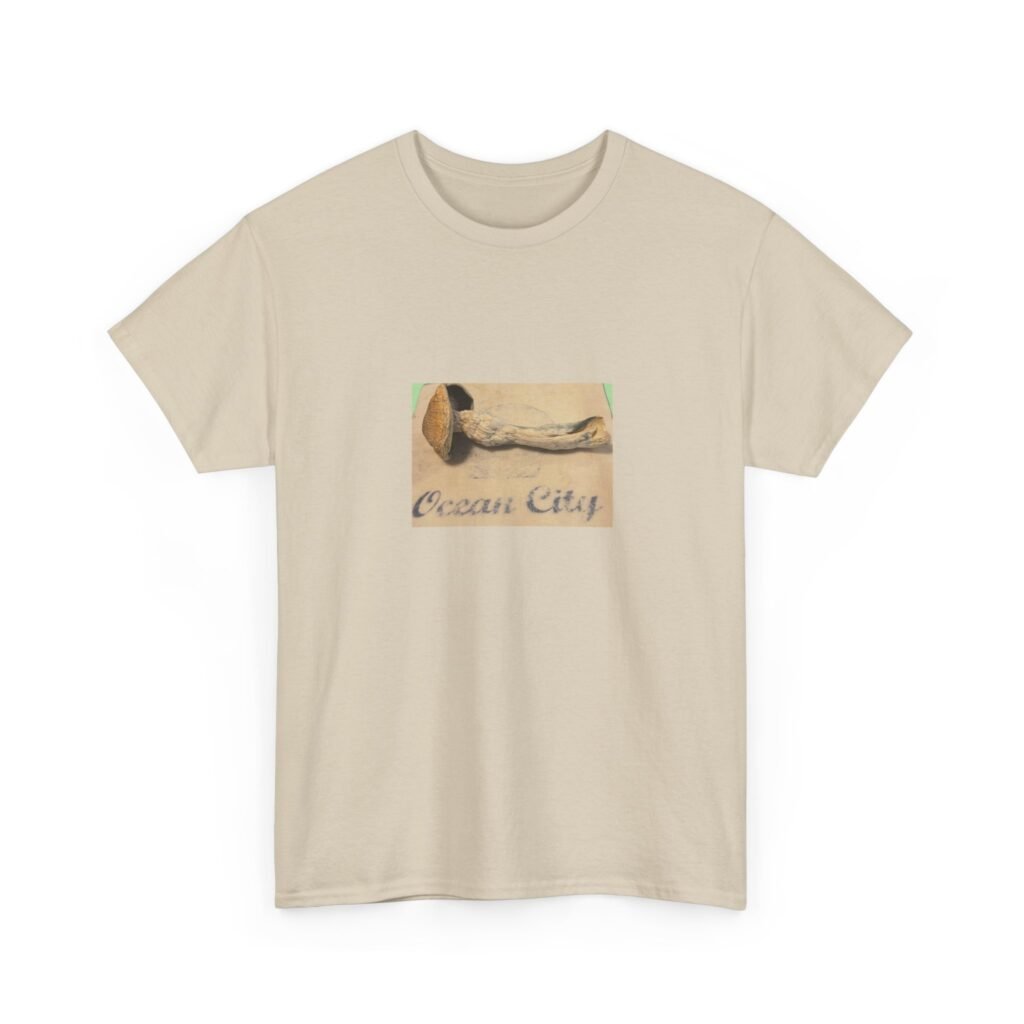 Ocean City Driftwood Tee — Retro Beach Postcard Design